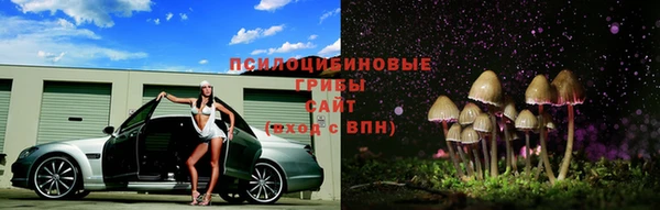a pvp Алзамай