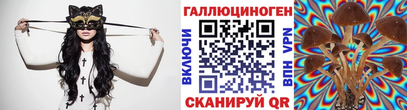 Псилоцибиновые грибы Cubensis  Липки 